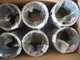 Cylinder Liner 3948095,Cummins 6CT ISLE Auto Parts,Cummins C3948095，Cummins Liner supplier
