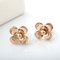 Rose Shape Stainless Steel Earrings, Fashion Jewelry Rose Gold Earring supplier