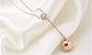 Fashion Jewelry Necklace Stainless Steel Rose Gold Diamond Necklace supplier