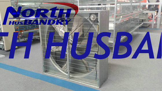 fiber glass poultry fan,exhaust fan for poultry house