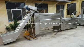 China Large Capacity Carrot Washing Machine supplier