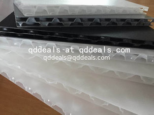 Manufacturer China Hot Sale Low Price PP Bubble Honeycomb Board