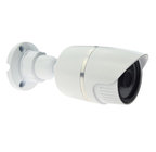1080P Low Lux Waterproof Day & Night Indoor/Outdoor IP Camera for Promotion DR-IP1002