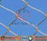 China Stainless Steel Wire Rope Mesh (manufacturer &amp; exporter) supplier