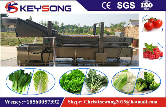 China Industrial Bubble Vegetable Washer Machine , Big Capacity Vegetable Processor Machine supplier