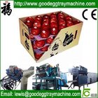 apple fruit tray processing machinery