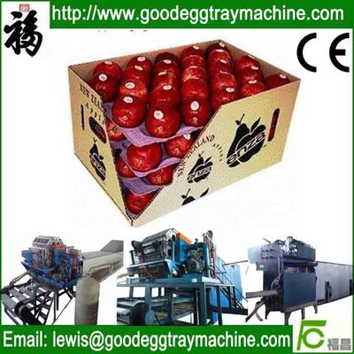 apple fruit tray processing machinery