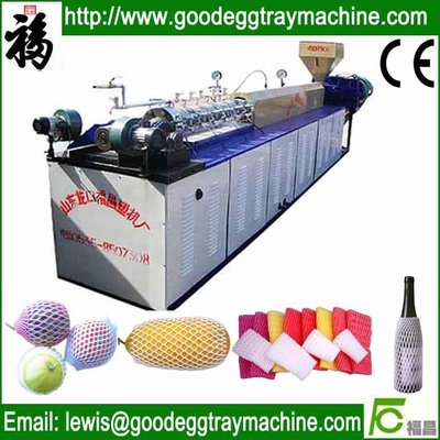 EPE Foam Net Extrusion Line(FCEPEW-75)