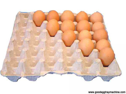 High quality egg/cake tray making production line