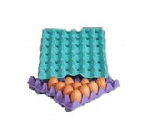 High Capacity Recycling Waste Paper Egg Tray Machine With CE Approved