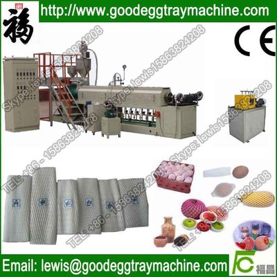 EPE Foam Fruit Net Extruder (FCEPEW-75 )