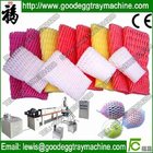 Made in China FDA Testing Foam Apple Net making machinery