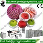 Fruit or vegetables packaging Net Production Line