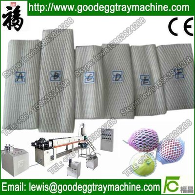 Fruit or vegetables packaging Net extruder