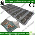Thermoforming egg tray mould