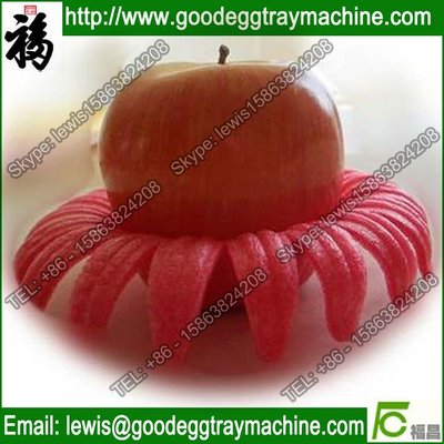 Plastic pan foam tray for orange packing