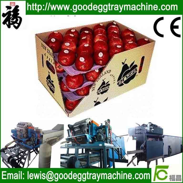 apple fruit tray processing machinery