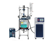 10-100L Industrial Chemical Jacketed Reactor Glass Bioreactor from Laboratory Manufacturer at Factory Price