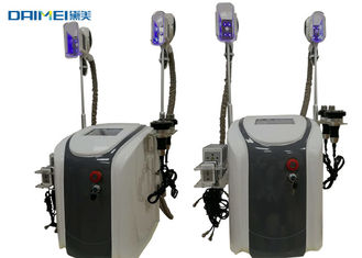 Multifunctional Cryolipolysis Slimming Machine / Cryo Fat Freezing Machine supplier