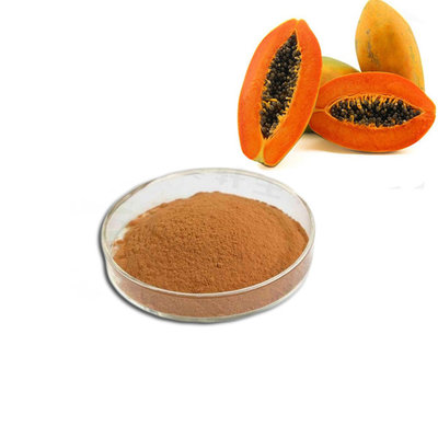China ISO factory 100% natural organic Papaya fruit powder and Papaya extract powder free sample supplier