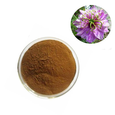 China Top quality nigella sativa seeds extracts nigella sativa extract powder from ISO factory supplier