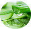 ISO Factory best organic Aloe vera extract powder Aloe emodin and Lyophilized powder 200:1 supplier