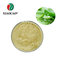 100% natural Aloe vera gel extract light yellow powder ISO factory top quality supplier