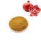 ISO factory 100% pure Natural pomegranate peel powder pomegranate seed extract powder from China supplier