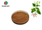 ISO factory 100% pure Natural Cinamon bark powder Organic Cinamon Extract Powder from XiaoCao supplier