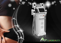 Coolsculption Fat Reduction Fat Freezing to Remove Stubborn Fat Kryolipolyse from China
