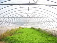 Film Greenhouse Single tunnel model