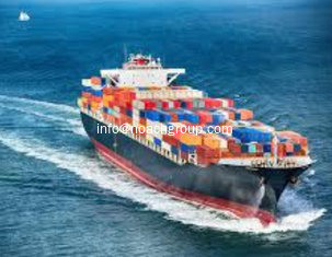 China China International Logistics Qingdao  sea freight air freight SANTOS,Brazil, 20'GP,40'GP,40'HC,40'HC supplier