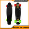 Fish Style Skateboard,Customized Longboard Skateboard CE Approval