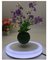 led light magnetic levitation floating air bonsai plant pot tree gift