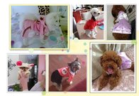 Comfortable cotton personalized dog clothes for small dogs