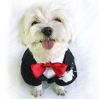 Black Little Dog Boy Pet Tuxedo Bow Tie Costume For Weddings / Puppy Tuxedos