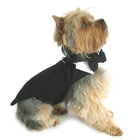 Classic Pet Dog Tuxedo Set with Tails Formal Wear costumes for puppies