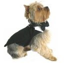 Wedding Pomeranian Dog Formal Wear Tuxedo Black With Tail , Top Hat , Bow Tie Collar