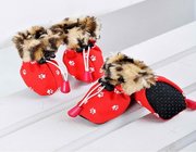Outdoor PET Dog Shoes , Endurable Neoprene dog boots for walking and traveling