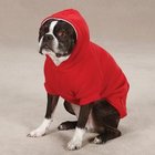 Fleece Lined Dog Hoodie by Zack & Zoey - Tomato Red border collie clothes Customize