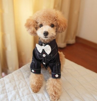 Cotton fabric Doggie Tuxedo Costume T-Shirts Pet Apparel for small dog breeds