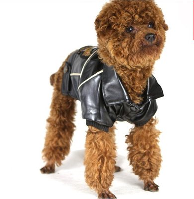 Big Small Personalized Pet Dog Clothes Leather Jacket Brown , Black Color For Winter