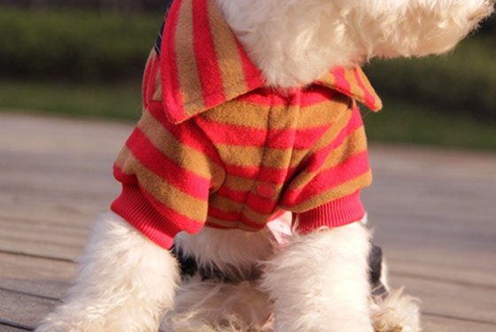 100% Polyester Otterhound / Harrier Jumpsuits Personalized Dog Winter Warm Clothes And Puppy Apparel