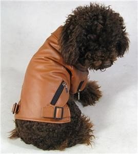 Pet Clothing Dog Leather Jackets Blank Style Dog Jacket For Whippet , Harrier