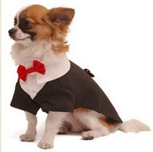 Wedding Tuxedo Clothes Dog Formal Wear / Dress Pet Apparel For Parties , Holidays