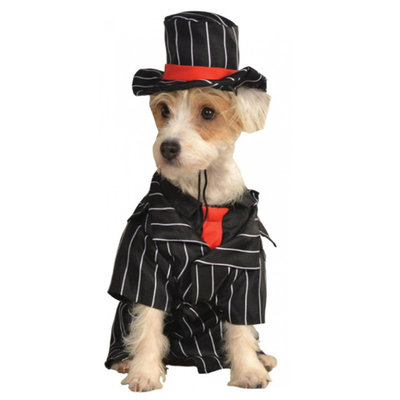 X Large Mob Dog Formal Wear Costume with hat for wedding custom made