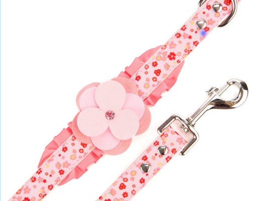 Personalized dog collar and Martha Stewart Pets Pink Floral Ruffle Leash for Girl