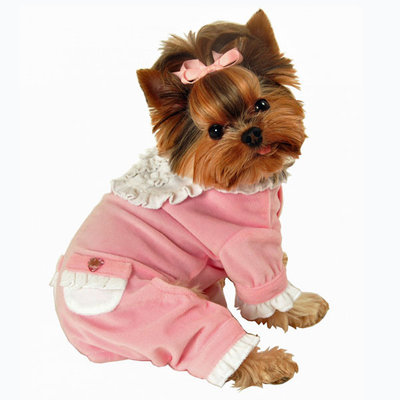 Small Breed Dog Jumper Pajamas Clothes