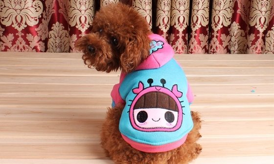 Personalized Custom XXS , XS Astrology Pet dog clothes hoodies for poodle