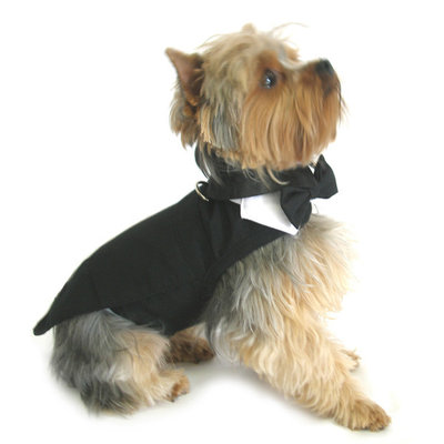 Classic Pet Dog wedding outfit Black tuxedo with tails XXL XXXL
